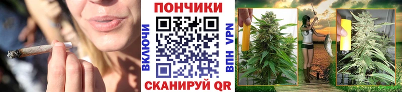 Наркотические вещества Нижнеудинск блэк спрут ссылка  МЕФ  Альфа ПВП  Бошки Шишки  Cocaine  Псилоцибиновые грибы 