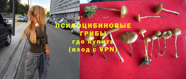 прущая мука Алексин